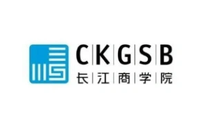 Tech Partner 1